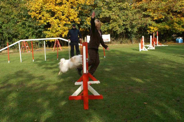agility 2011-10-30